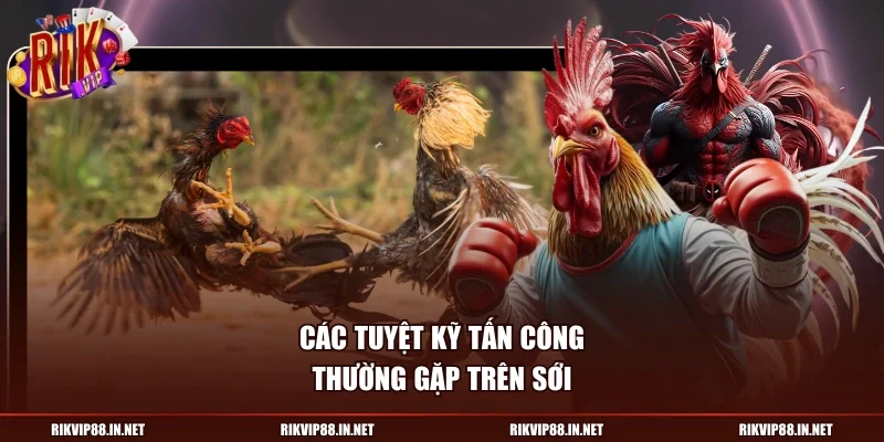 Các tuyệt kỹ tấn công thường gặp trên sới
