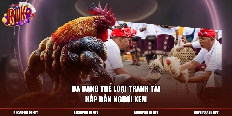 Đa dạng thể loại tranh tài hấp dẫn người xem