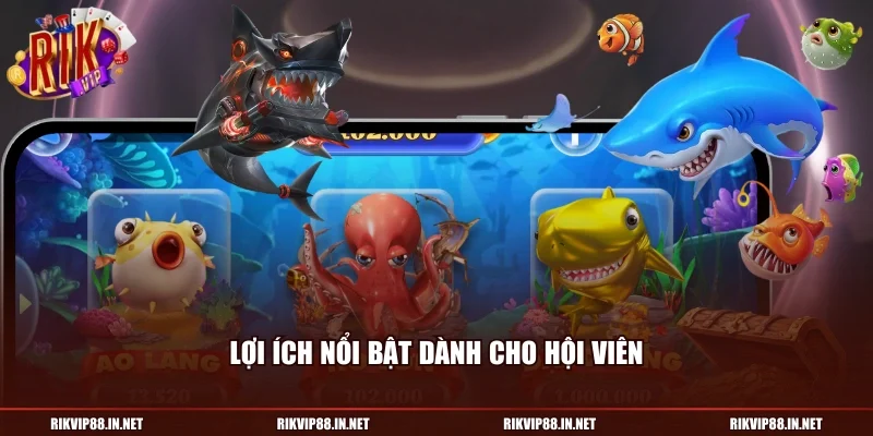 Lợi ích nổi bật dành cho hội viên