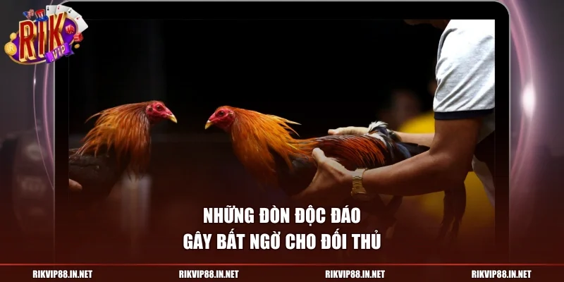 Những đòn độc đáo gây bất ngờ cho đối thủ