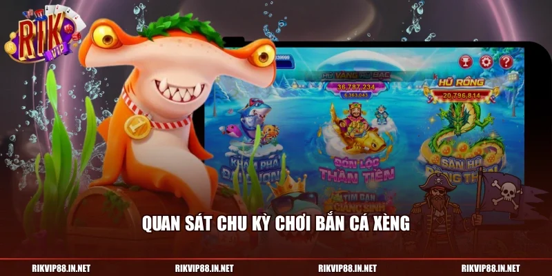 Quan sát chu kỳ chơi bắn cá xèng
