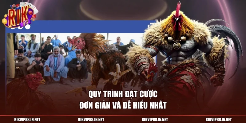 Quy trình đặt cược đơn giản và dễ hiểu nhất