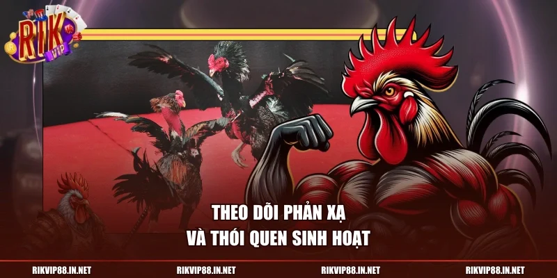 Theo dõi phản xạ và thói quen sinh hoạt