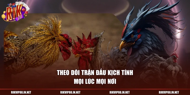 Theo dõi trận đấu kịch tính mọi lúc mọi nơi